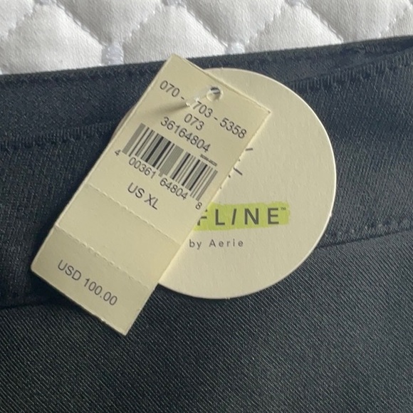 Aerie Offline Snow Pants - Picture 4 of 8